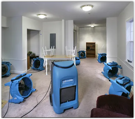 Drying & Dehumidification in Port LaBelle, FL