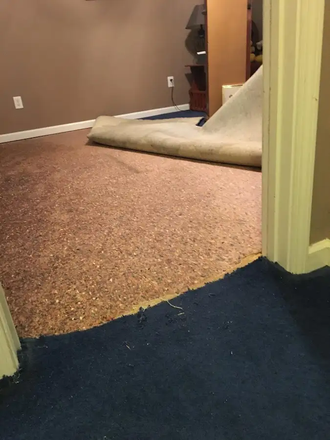 Carpet pad removal revealing water damage during Drying & Dehumidification in Port LaBelle