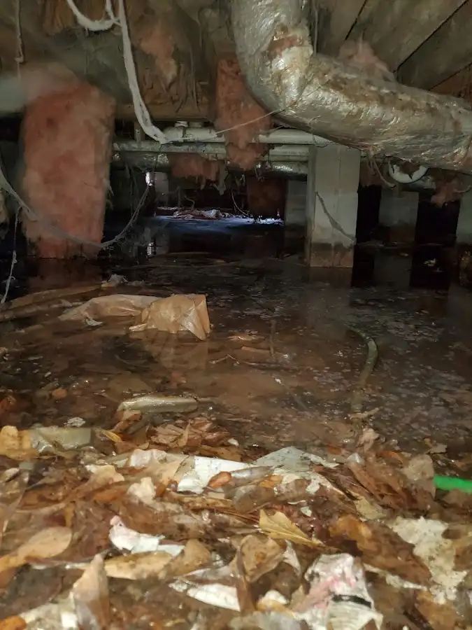 Crawl space flood assessment for Leak Detection & Repair in Port LaBelle